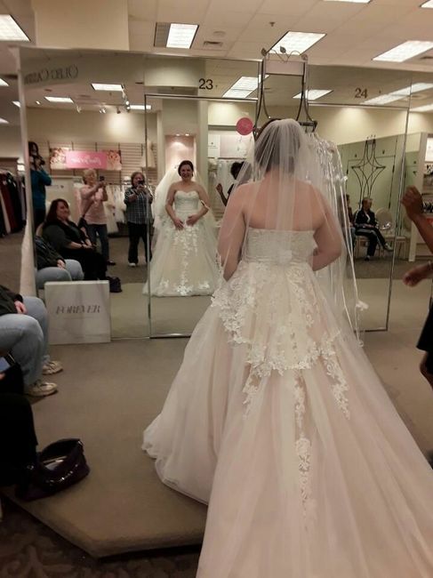 Did you say yes to the dress? - 2