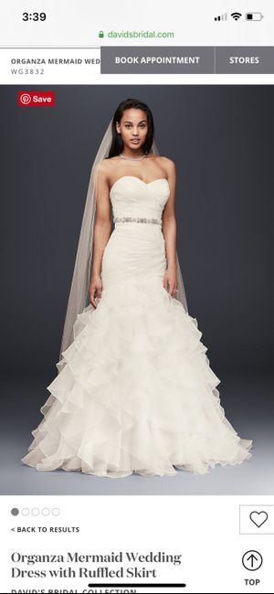 Help! My dream dress is discontinued! 2