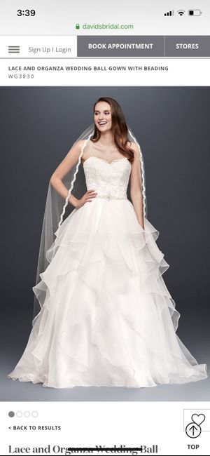 Help! My dream dress is discontinued! 3