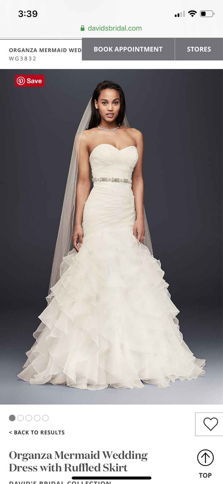 Help! My dream dress is discontinued! - 1