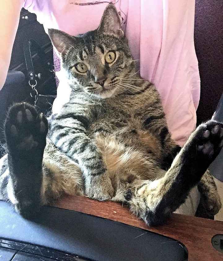 NWR.......FUR BABIES!!!!