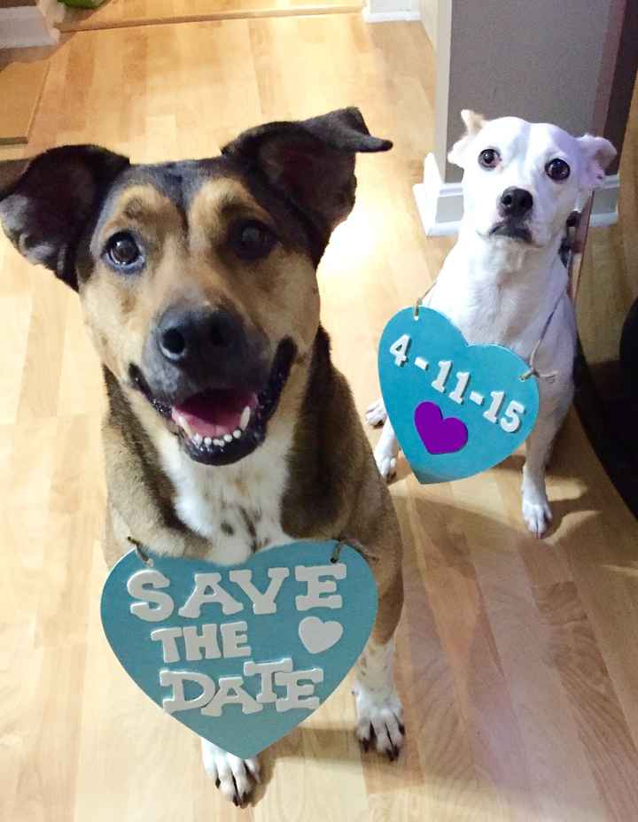 My First DIY - Save the Date signs