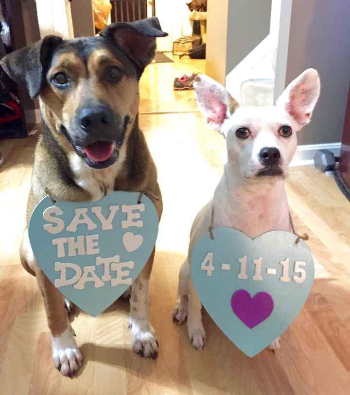 My First DIY - Save the Date signs