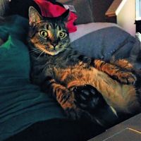 NWR.......FUR BABIES!!!!