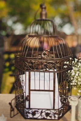 I FINALLY got my wedding pictures!!!!~~~~~