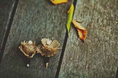 I FINALLY got my wedding pictures!!!!~~~~~