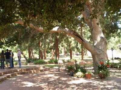 HOW DOES YOUR VENUE LOOK LIKE? (pic)