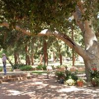 HOW DOES YOUR VENUE LOOK LIKE? (pic)