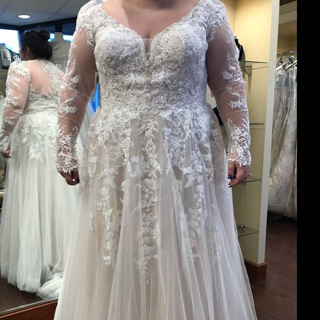  The Dress - 1