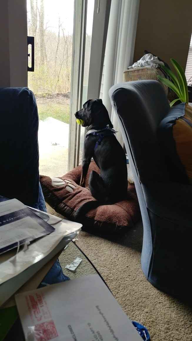 The line of 1000+ people