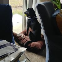 The line of 1000+ people