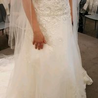 Did you say yes to the dress? - 1