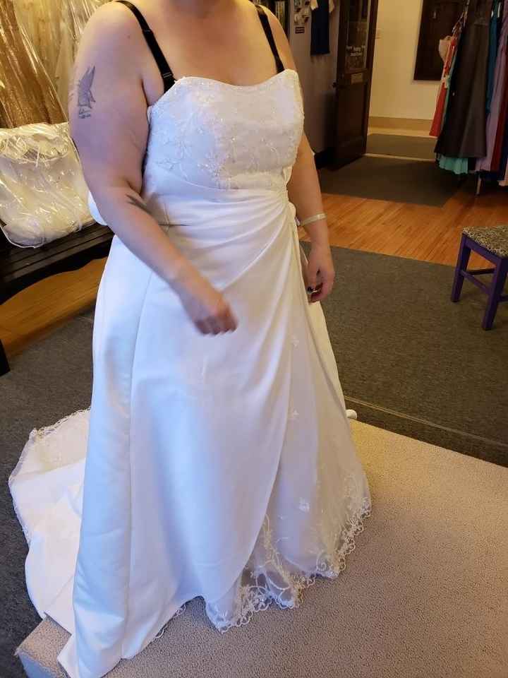 Gown Silhouette Debacle - 1