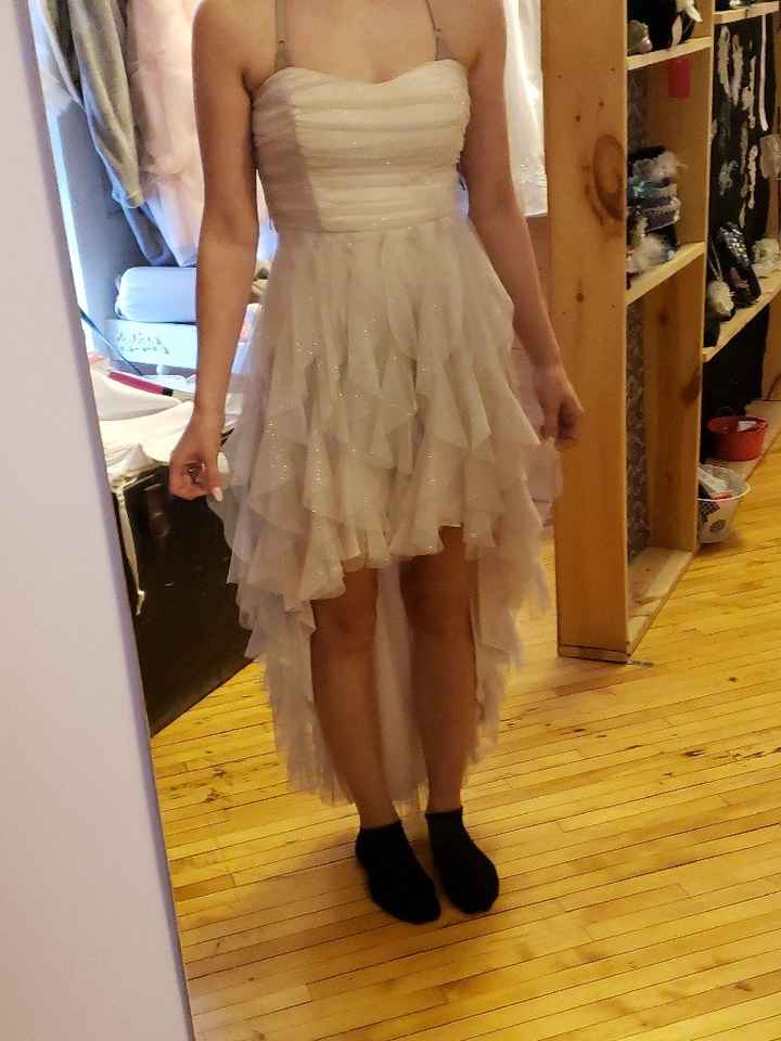 Bridesmaids Dresses: Modern or Traditional? - 1