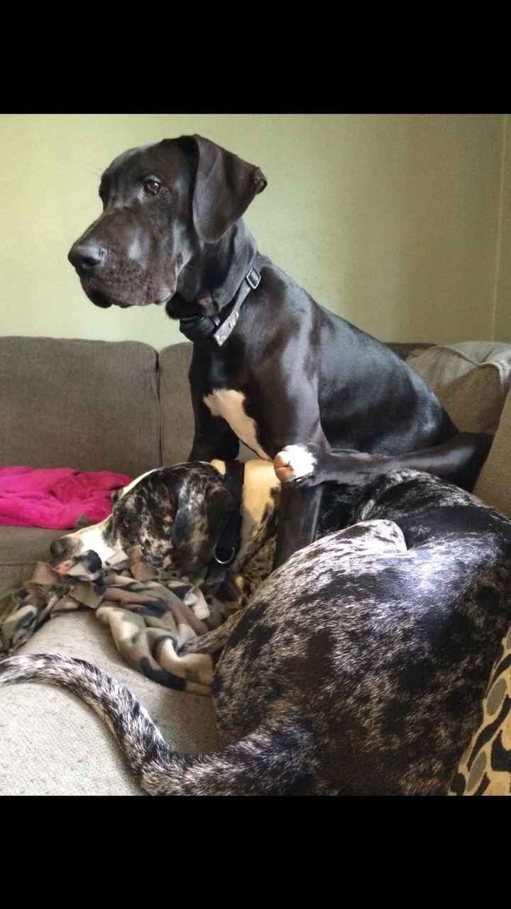 NWR: Show me your pups!