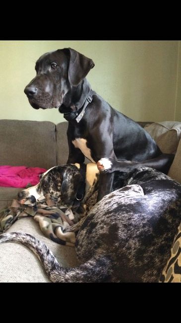 NWR: Show me your pups!