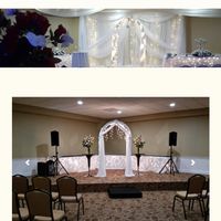 Filling Bare Walls Behind Trellis - 3