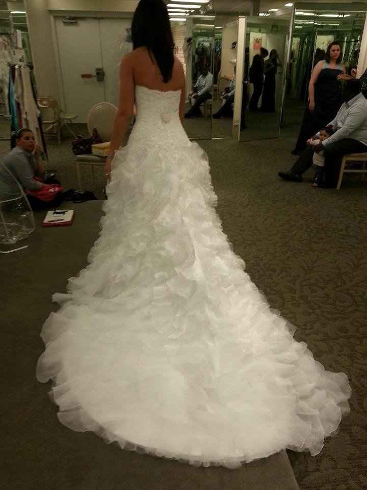 Anyone have there wedding dress picked out? Pics?