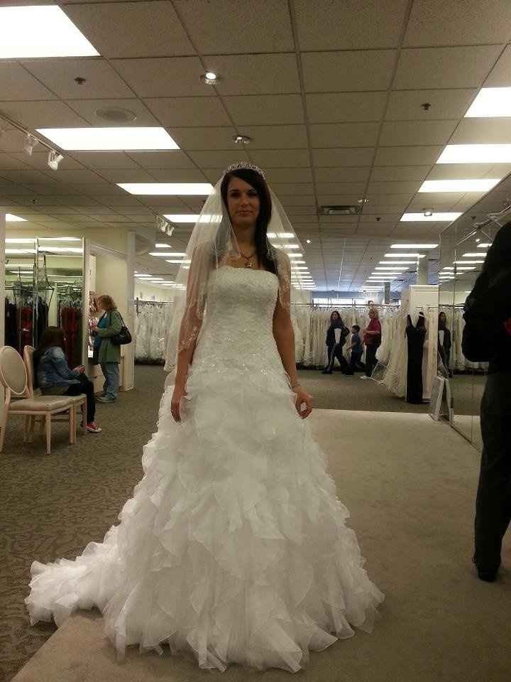 Anyone have there wedding dress picked out? Pics?