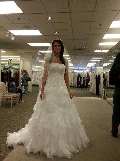 Anyone have there wedding dress picked out? Pics?
