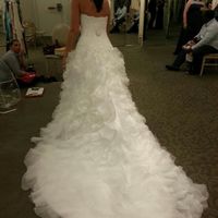 Anyone have there wedding dress picked out? Pics?