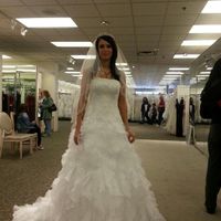 Anyone have there wedding dress picked out? Pics?