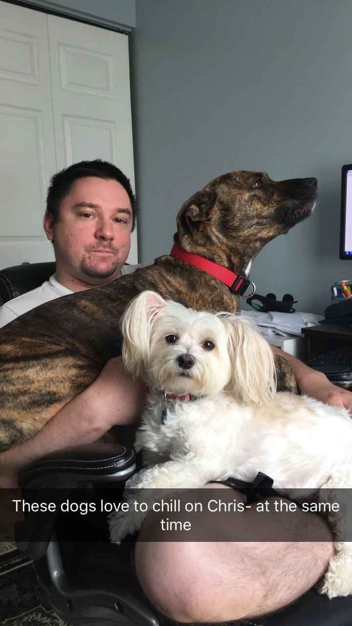 NWR: Our fur baby is going to the big dog park in the sky :(