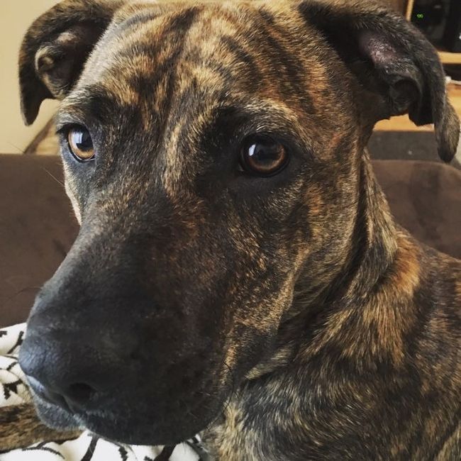 NWR: Show me your pups!
