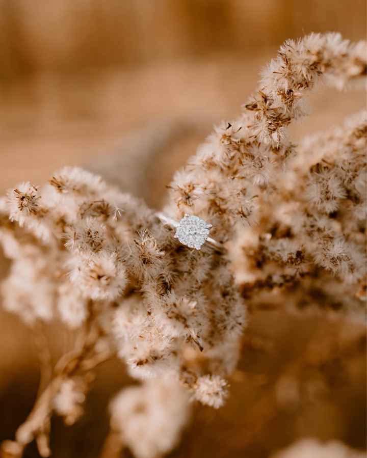 2023 Brides - Show us your ring! - 1