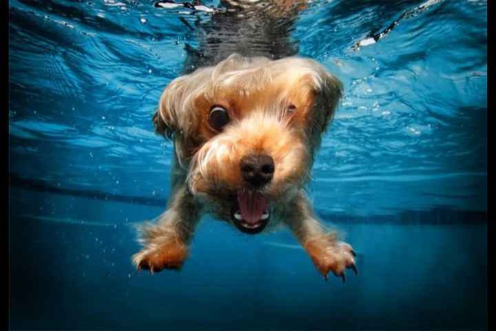 Spinoff: Most Embarrassing/Ridculous/Random Picture