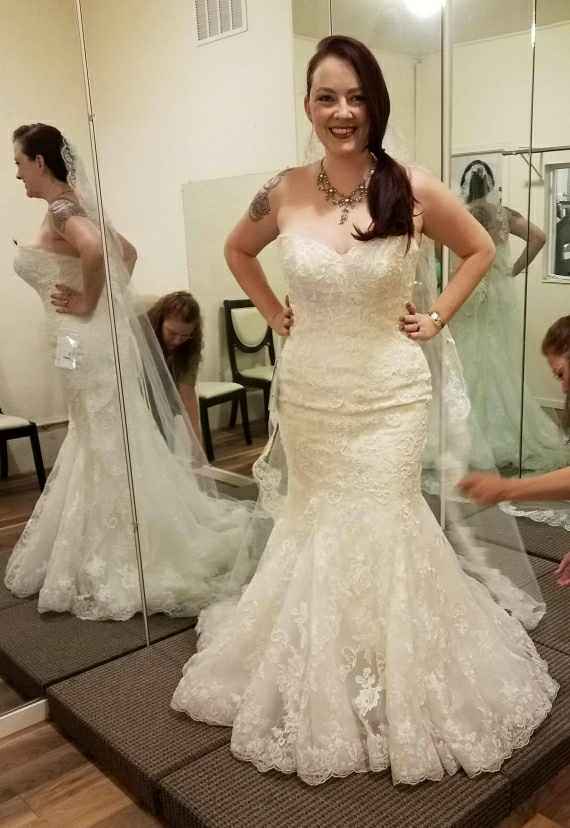  The Dress - 1