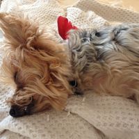 NWR: Fur-baby Fursday!