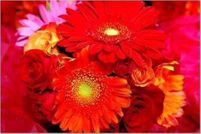 FH REALLY WANTS TO BE iNVOLVED??? WHAT DO i DO?