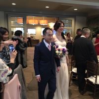 BAM (non-professional)