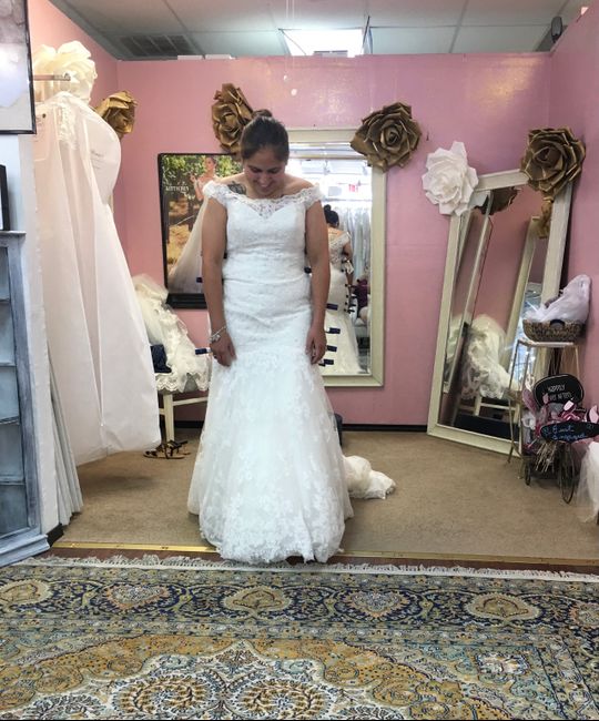 First fitting 3