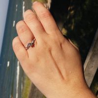 It's official!/introduction