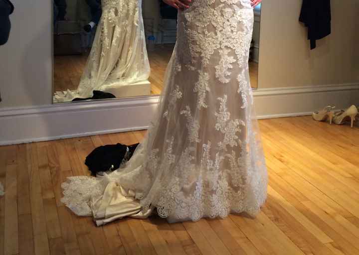 I looove dress threads! Are you rocking white?