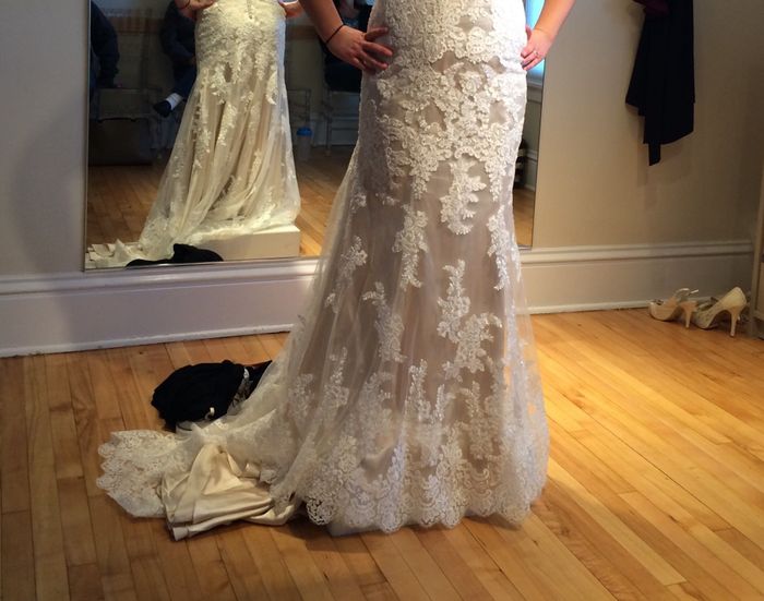 Picked up my dress last night!