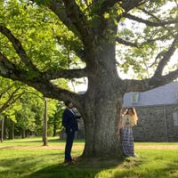 Where are my June 2020 Brides? - 1