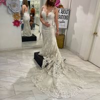 Brides of 2022 - Dress Pics! - 1