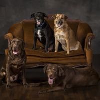 We will be incorporating our boys into the wedding somehow! Most likely with a napkin design or some