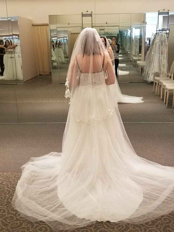  My Dress Arrived - 1