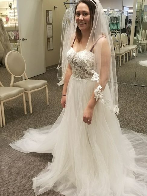  My Dress Arrived - 2