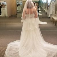  My Dress Arrived - 1