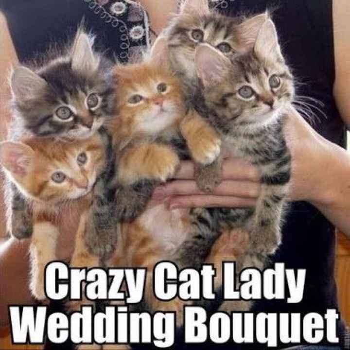 Wedding Planning Memes