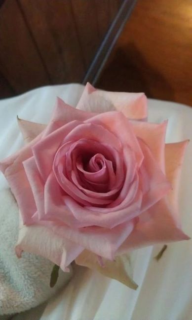 Back and Married! (With tips)