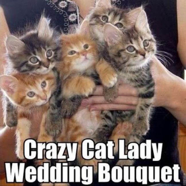 Wedding Planning Memes