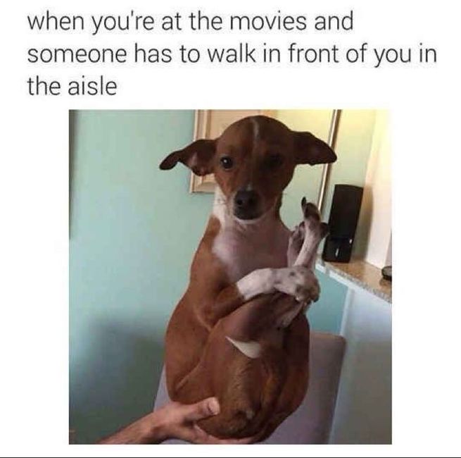 NWR:  Share some Memes