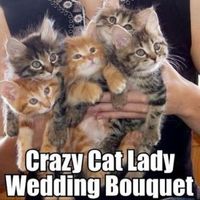 Wedding Planning Memes