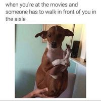 NWR:  Share some Memes